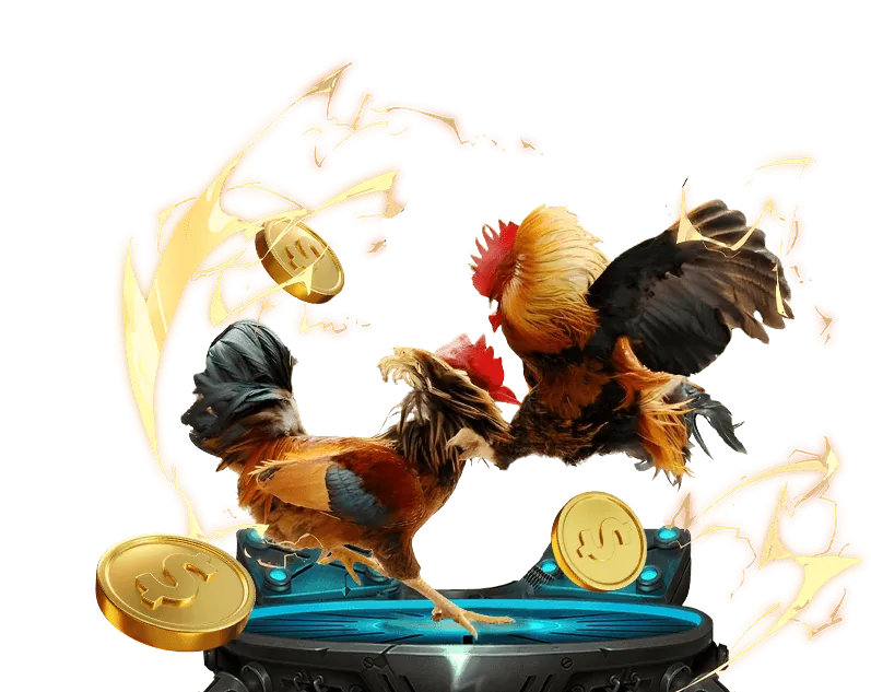 Dự đoán người thắng cuộc trong trận tennis